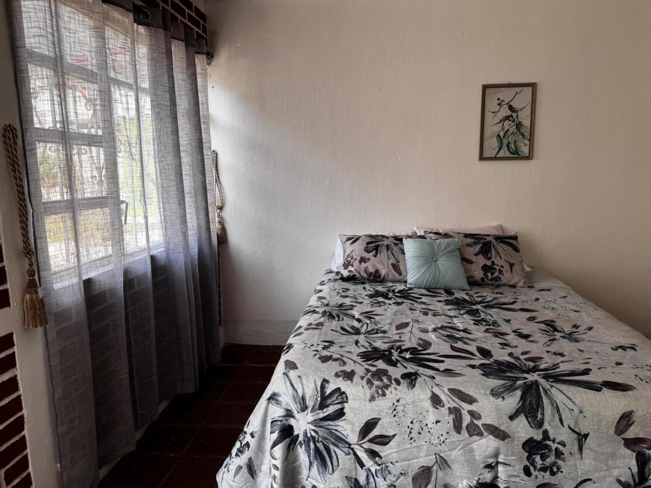 Apartamento Little House *
